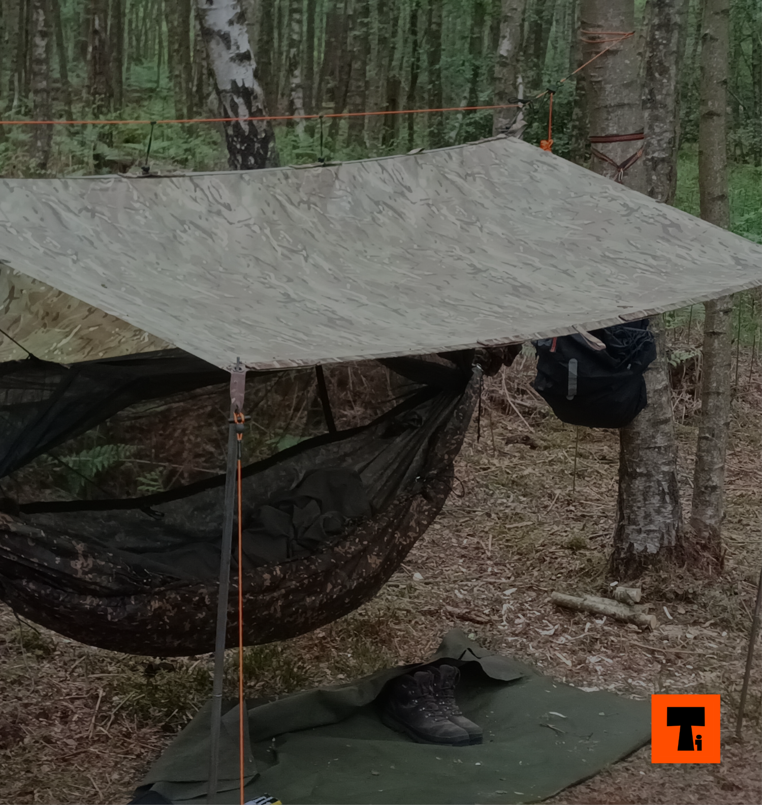 HAMMOCK CAMPING